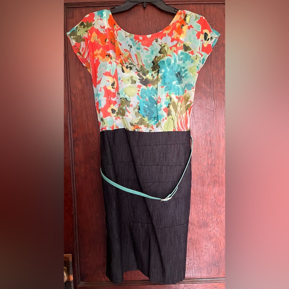 Dressbarn size 12p dress